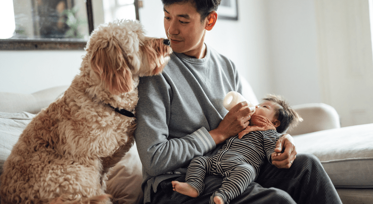 Father sitting on a couch feeding a baby with a bottle while a friendly dog looks on lovingly.